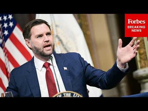 JD Vance Sounds Off About 'Somali Fraudsters' At First Anti-Fraud Task Force Meeting