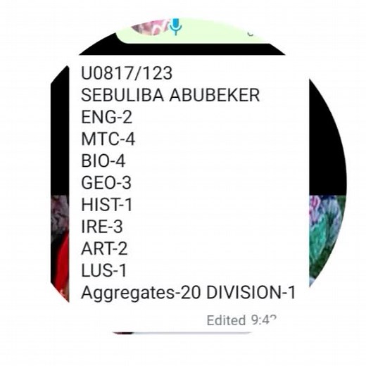 Academic Grades Overview for Various Subjects