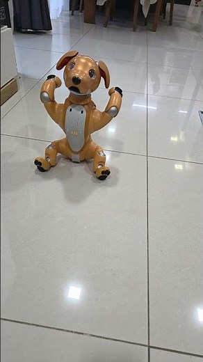 High-touch! #robot #aibo #robotdog