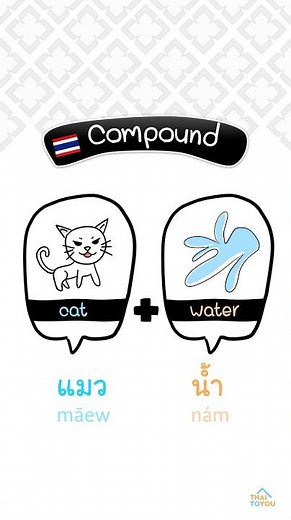 Learn Thai | Compound Words | Aquatic Animals #learnthai #thailanguage #thai