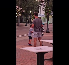 Live Robot in Sarasota Florida