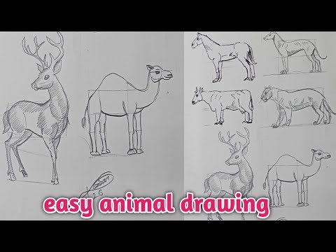 Easy Animal Drawing Trick | One Simple Rule to Draw Any Animal | Step by Step