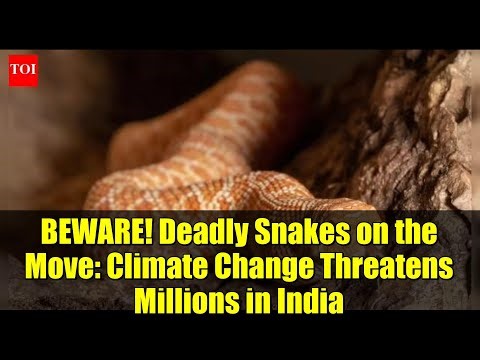 BEWARE! Deadly Snakes on the Move: Climate Change Threatens Millions in India