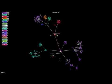 Gource Visualization - Maroto