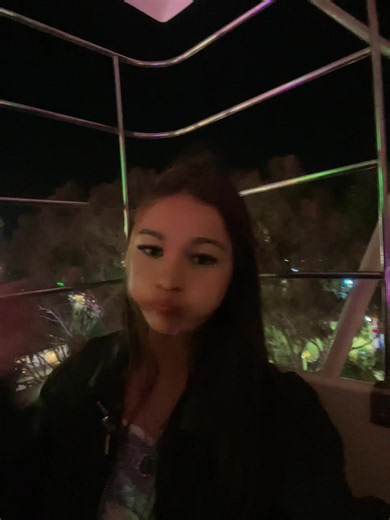 Ferris Wheel Ride Tips and What to Expect
