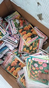 1.4K views · 30 reactions | #NepaliNewsToday #flypシ #ktm #everyoneシ゚viralシviralシfypシ゚viralシalシ #agriculture | आदर्श ग्रुप अफ एग्रो एन्ड फरेस्टि प्रा.लि. | Facebook