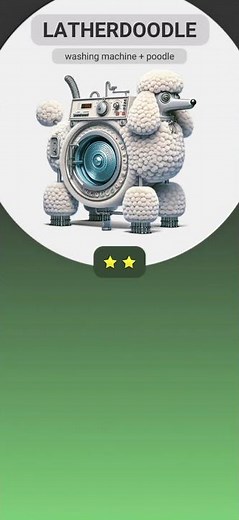 Poodle+Washing Machine=Latherdoodle! 🐩🧺