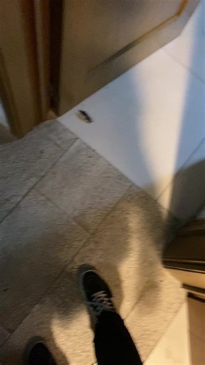 No en mi guardia: Un nuevo comienzo para el 2023