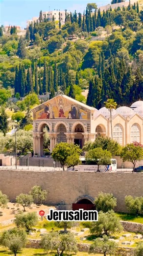 The serene Garden of Gethsemane at the foot of the Mount of Olives🕊️🇮🇱#israel #jerusalem #travel