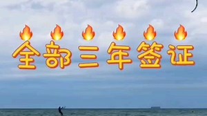 新西兰最新签证政策！_哔哩哔哩_bilibili