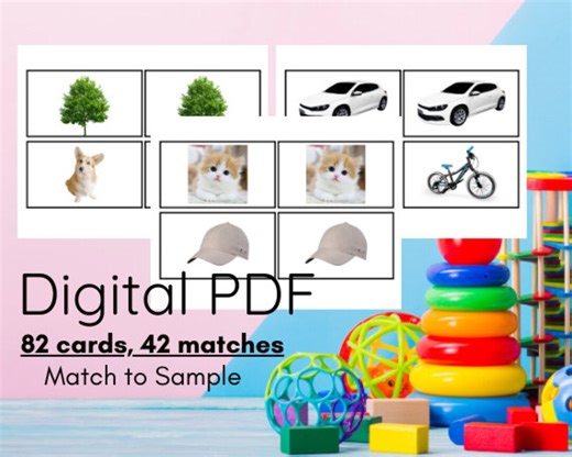 ABA Therapy Match to Sample Cards, VB-MAPP, Autism (digital Download) - Etsy