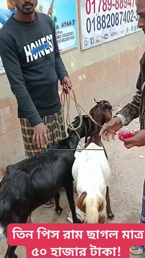 21K views · 112 reactions | Bangladeshi Goats market #reels #reelsfb #market #roadsidemarket | Different city | Facebook