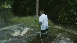Broward spraying parts of the county for mosquitoes