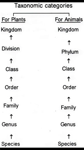 The Neet Ninja on Instagram: "📝☝️ . . . . . . . . . . #ntaneet #competitiveexams #pw #neet #allen #neetbiology #hack #jewelry #jeemains #jeeadvanced #follow4like #government #instagood 4like#allen #contentcreator #collaboration #consistencyiskey #motivation #harharmahadev #happy #doctor #doctortobe #explorepage #explore"