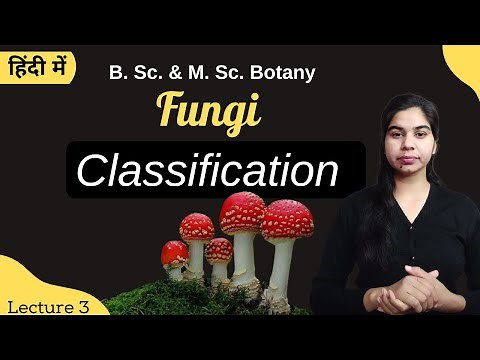 Fungi || Classification || in Hindi || Botany || B. Sc. & M. Sc.