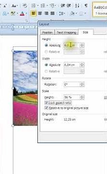 How to Set Image Size in MS Word