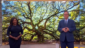 Angel Oak Preserve recognized as 'community forest'