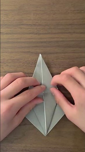 Origami Crow 🐦‍⬛