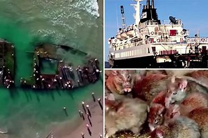 Remains of Russian ghost vessel 'wash up after it was invaded by cannibal RATS'
