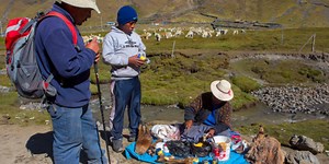 The genetic basis of Peruvians’ ability to live at high altitude