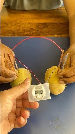 Bio Energy Testing With Potato | Science Project