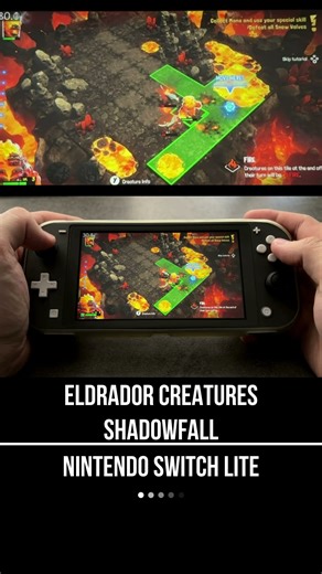 ELDRADOR CREATURES SHADOWFALL Nintendo Switch Lite Gameplay - FPS Monitor