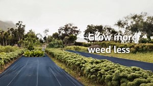 3ft*100ft Weed Barrier Fabric Heavy Duty Set - Landscape Fabric with 10 U-Shaped Pegs & 10 Gaskets Landscaping, Premium Weed Blocker Cloth, Geotextile for Garden Beds Commercial Driveway Fabrics