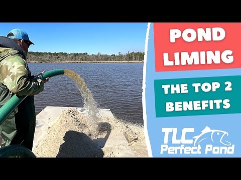 The TOP 2 BENEFITS of Adding Lime to Your Pond