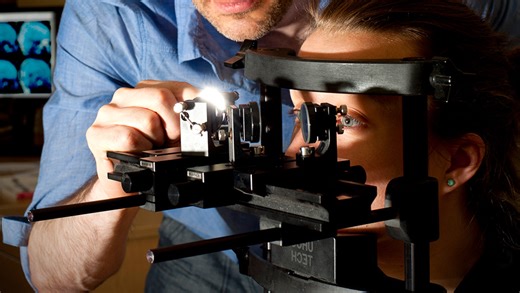 Psychology BSc (Hons) at the University of Sussex