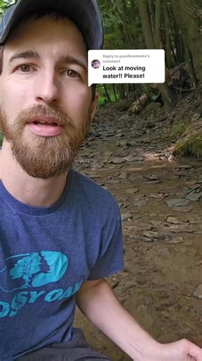 Comparing running stream water and stagnant pond water under a microscope 🔬 #outdoors #survival #microscope #microorganisms #camping #waterpurification #outdoorlife | Camping & Bushcraft