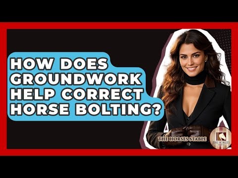 How Does Groundwork Help Correct Horse Bolting? - The Horses Stable
