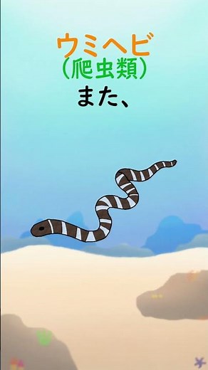 ウミヘビについて 【1分アクアリウム/海の生き物・魚の生態解説】#shorts #魚 #生態 #海の生き物