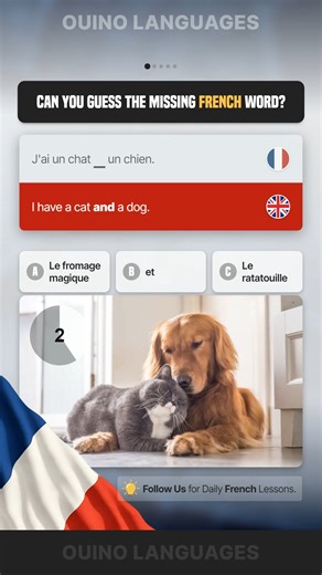 Learn French with Ouino on Instagram: "Learn French with this short lesson. #learnfrench #learningfrench #easyfrench #frenchlearning #frenchlessons #frenchlesson #learnfrenchlanguage #FrenchForBeginners"