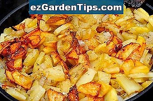 Cât timp trebuie să executați filtrul pentru piscine? 🌱 Sfaturi Grădinari - Ro.ezGardenTips.com