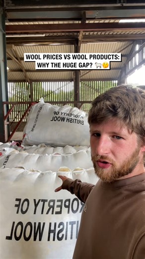 Why wool is so cheep but wool-made products are so expensive 🐑 | Sean The Sheepman