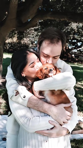 Welcoming Alfie: Our New Golden Cavalier Puppy