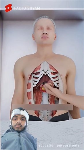 How Are Mummies Made: Explained in 3D Animation #shorts​ #animation​ part-1