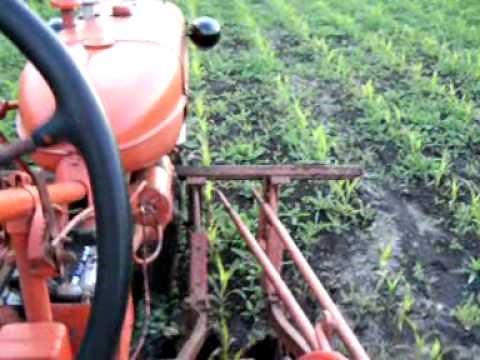 Cultivating with the C Allis Chalmers