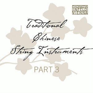 16K views · 56 reactions | Last but not least we would like to showcase the beautiful pipa. And we might just have a little surprise up our sleeves connected to it. Make sure to stay tuned!  | Thomastik-Infeld | Facebook