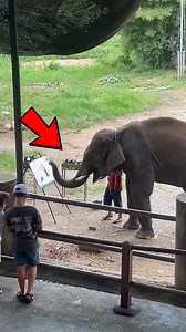 10 Crazy Animal Facts #FactReels #AmazingFacts #MindBlowingFacts | Amazing World हिन्दी