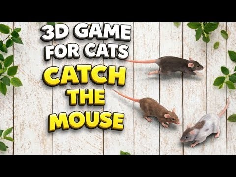 3D Cat Game | Catch the Mouse in Realistic Gameplay