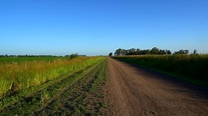 A dirt road running along a corn field in the countryside late in the afternoon