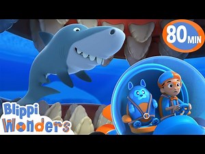Blippi Goes in a SHARKS' MOUTH?   ALL Blippi Wonders Season 2! | Blippi Wonders Videos for Kids - Videos For Kids