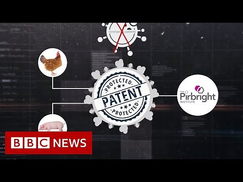 Coronavirus: How to talk about conspiracy theories - BBC News