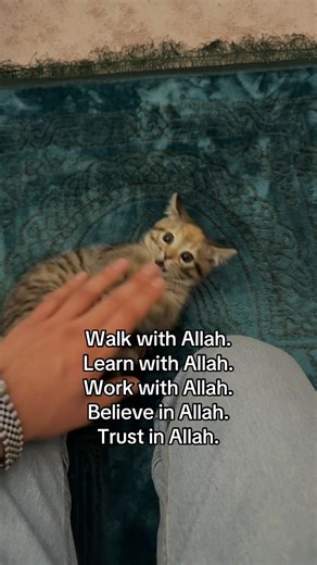 With Allah, you will never face hardship alone so trust Allah#fyp #fypageシ #foru #fyyyyyyyyyyyyyyyy #allah❤️