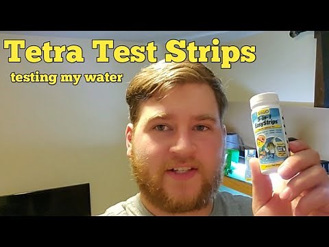 Tetra Test Strips | Testing My Water