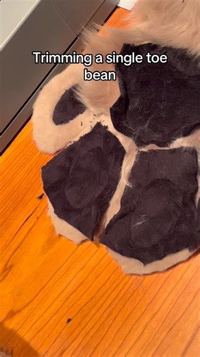 Kit on Instagram: "Ooo look another natural colored project! • • • #fursuitmaker #furryfandom #fursuitmaking #fursuitcommissions #fursuiter #fursuit #fursuitpaws"