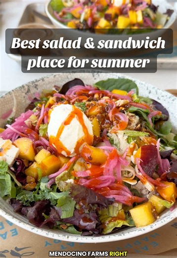 Wanna a quick casual meal place? Try @Mendocino Farms. My favorite salad and sandwich place! #creatorsearchinsights #quickmeals #salad #worklunch #summermeals