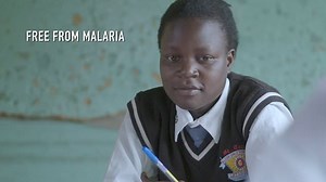 RBM Partnership to End Malaria