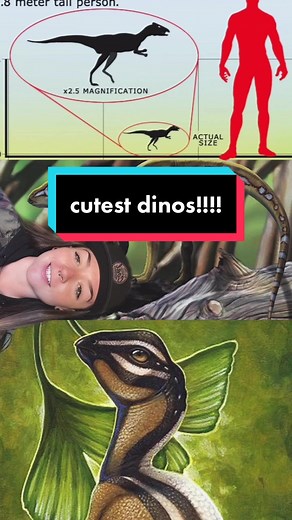Tiny Dinosaurs: The Cutest Extinct Creatures!
